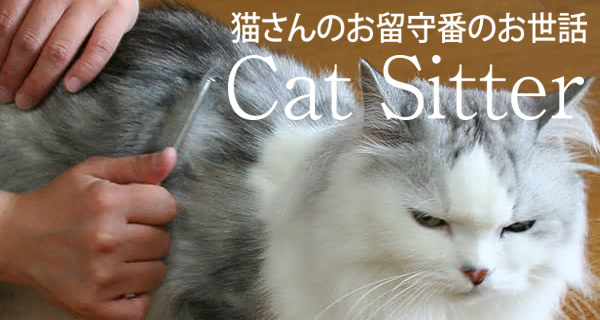 仙台のキャットシッター猫屋敷