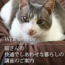 猫さんの快適でしあわせな暮らしの講座のご案内