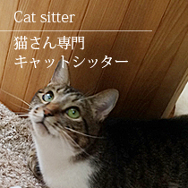 猫さん専門キャットシッター