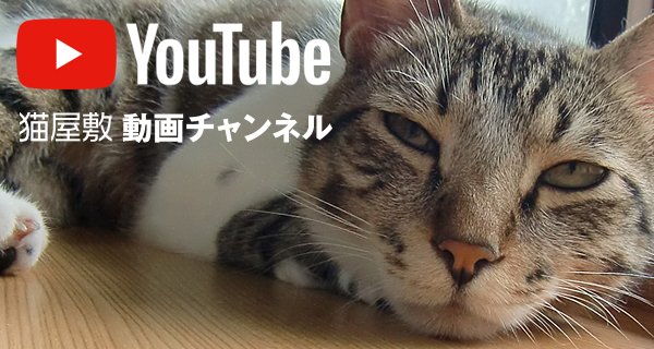 猫さんとの快適・健康生活/猫屋敷動画チャンネル