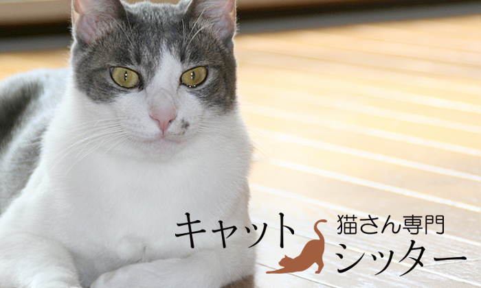 猫さん手作りごはん 歯磨き講座 キャットシッター仙台 猫グッズ 福猫本舗 猫屋敷